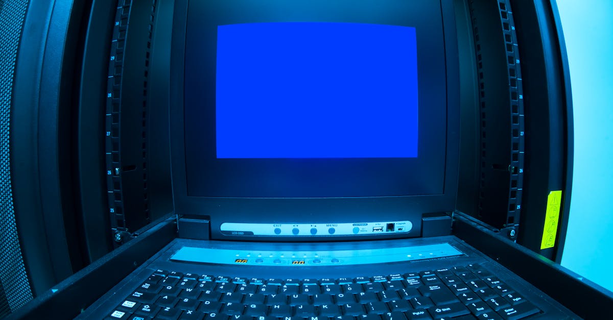 蓝梅花王:苍鹰活体购买平台