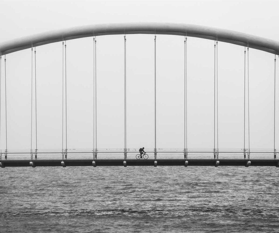 有嘴蓝骆驼：美团哪个平台可以开户