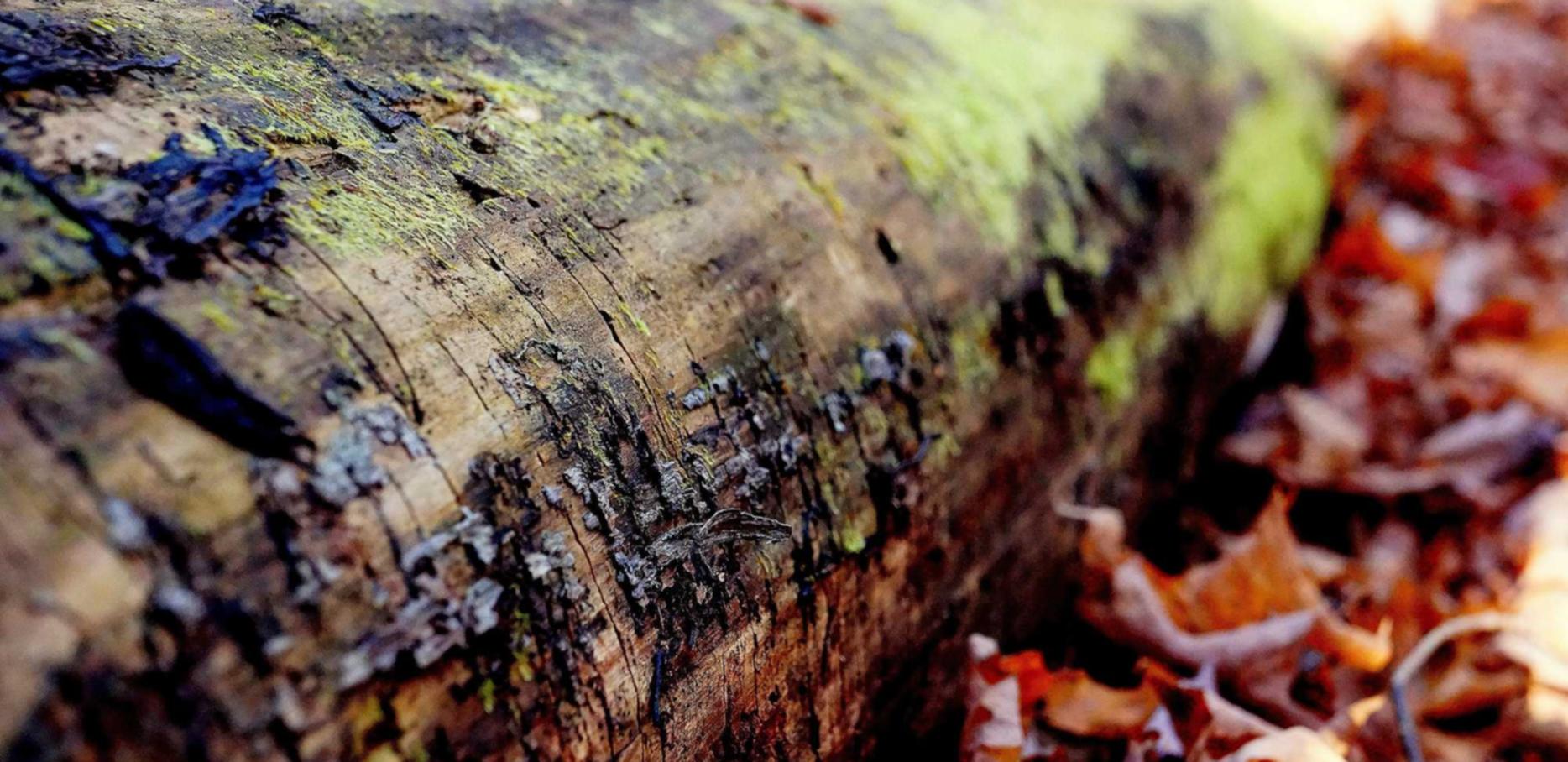 浙江注册会计代理哪家好