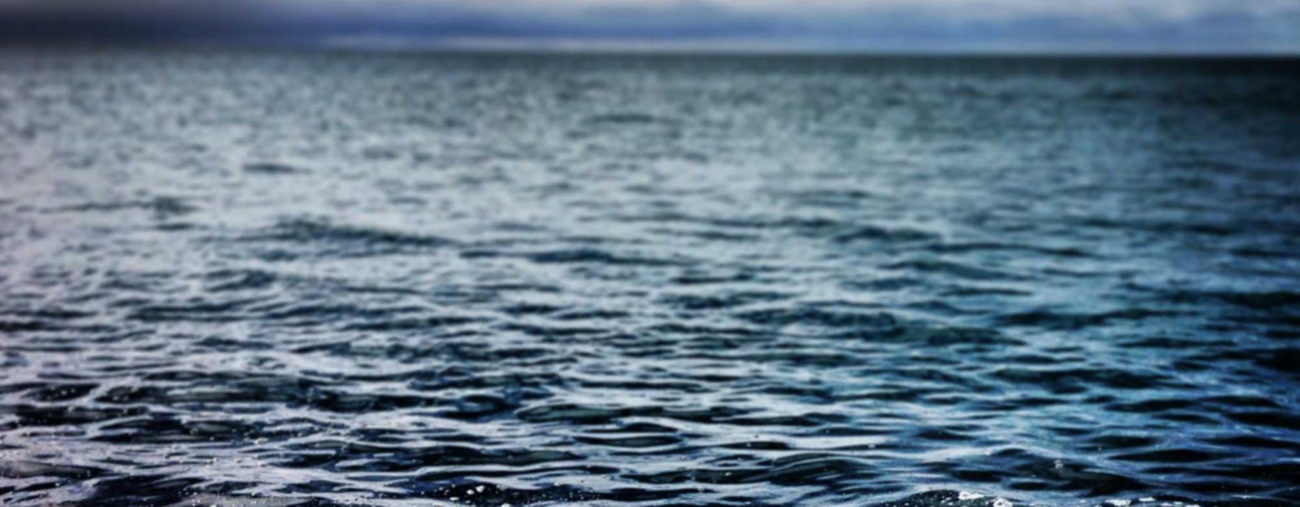 无需实名流量卡:企业为什么注册抖音账号