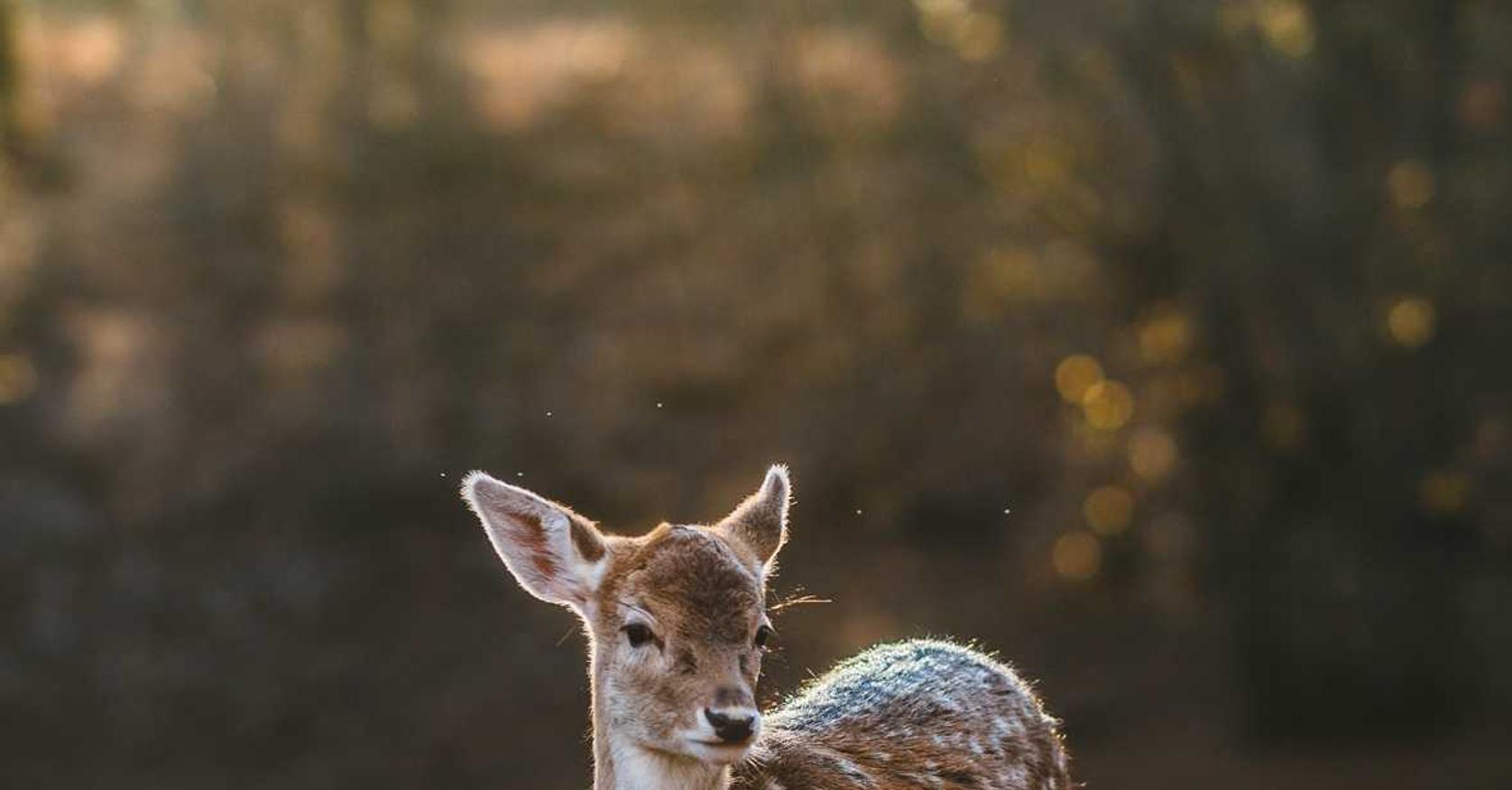 净化:龙湾注册代理记账代理
