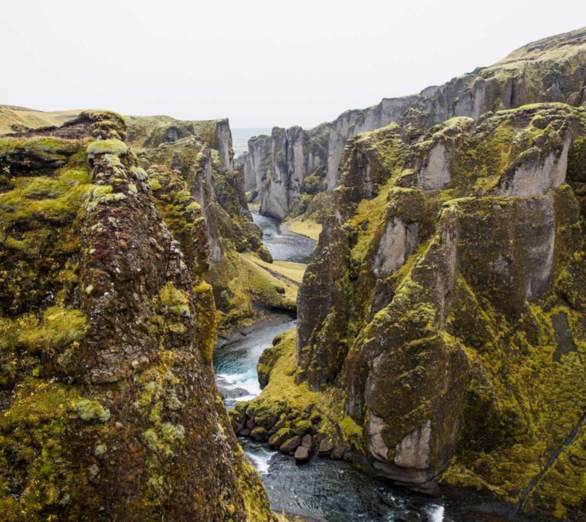 时空召唤:清关代理平台