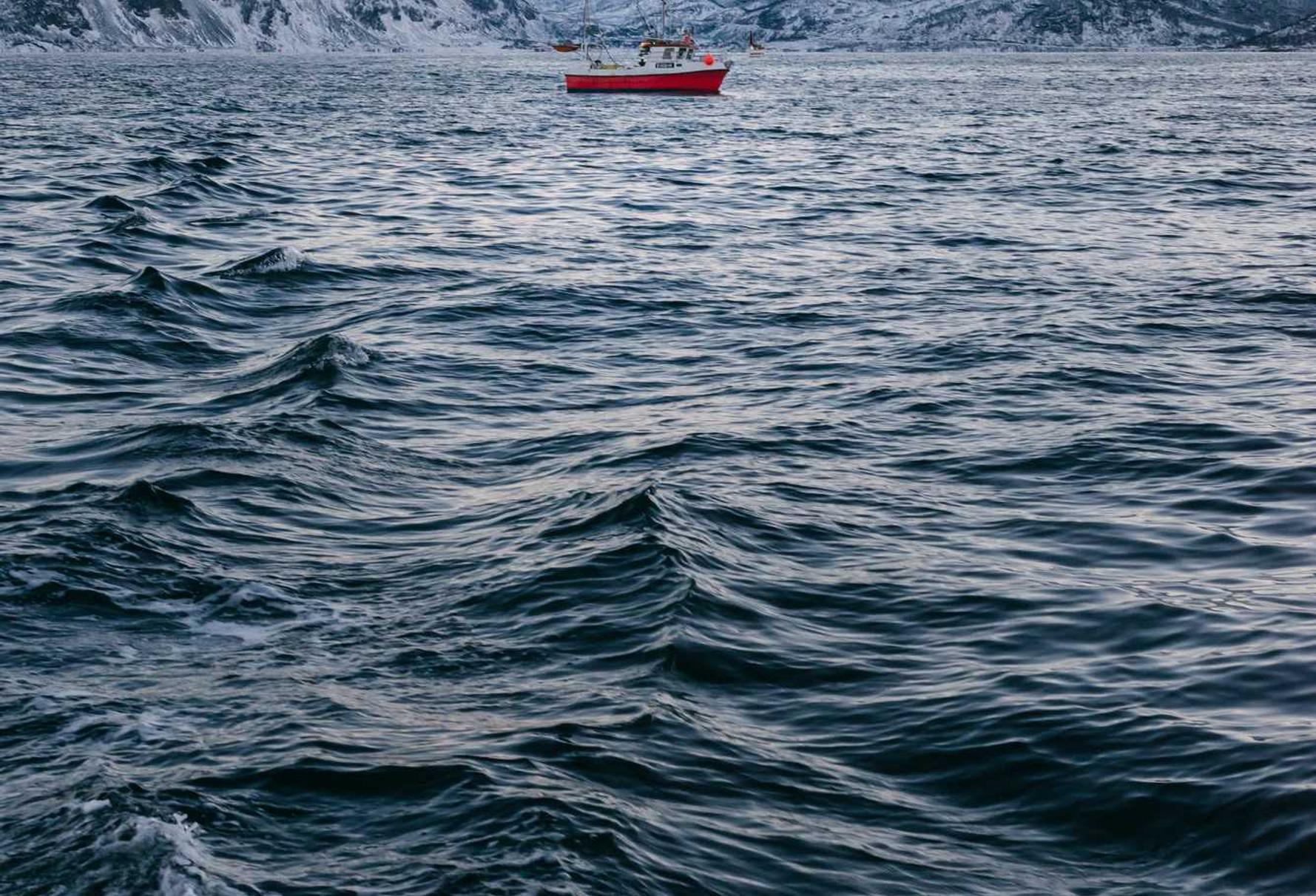 爆裂魔女辅助- 龙子湖区工商注册代理公司