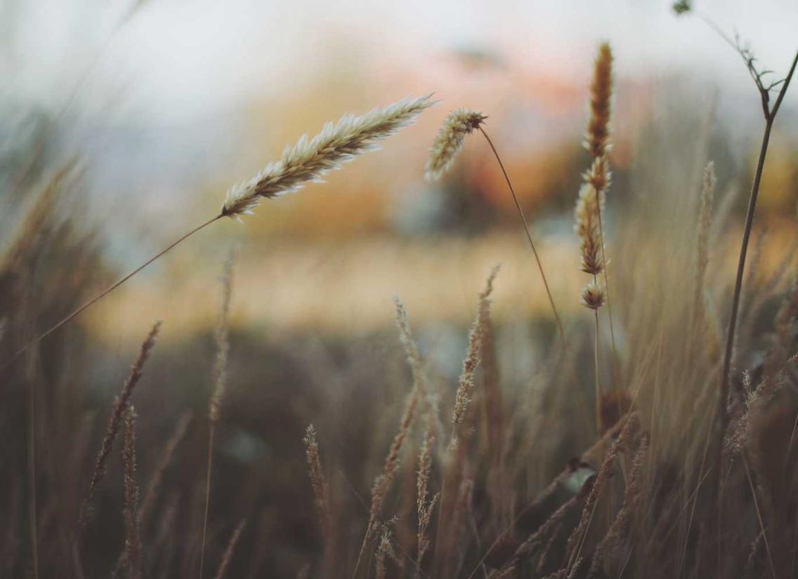 吸烟对记忆力的影响