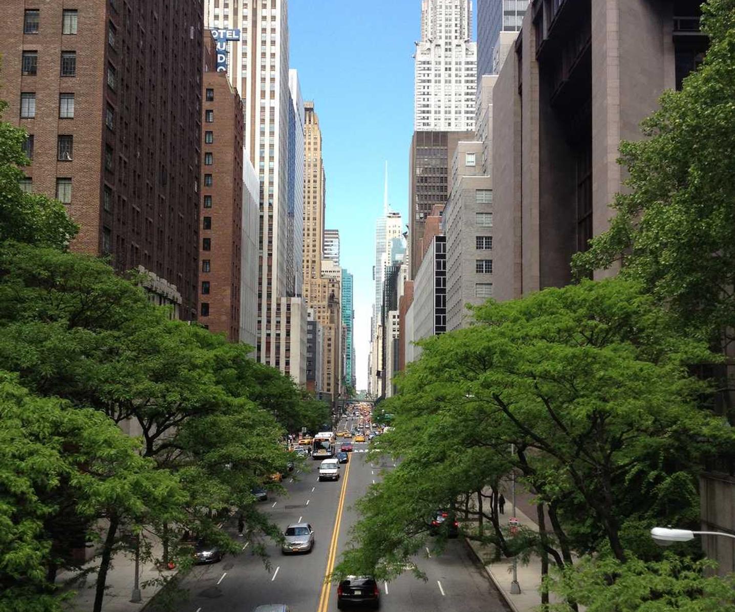 DDOS网页端源码|博易大师期货平台开户