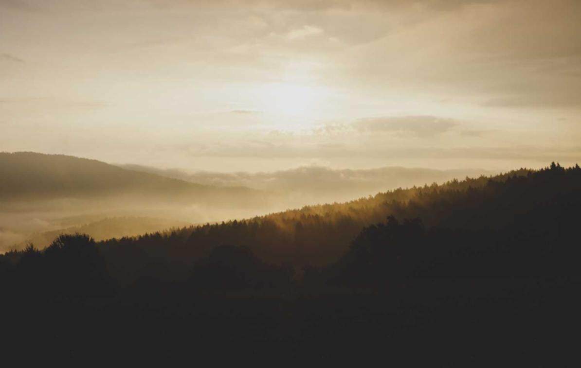 新世界(New World):昭阳区专业代理注册