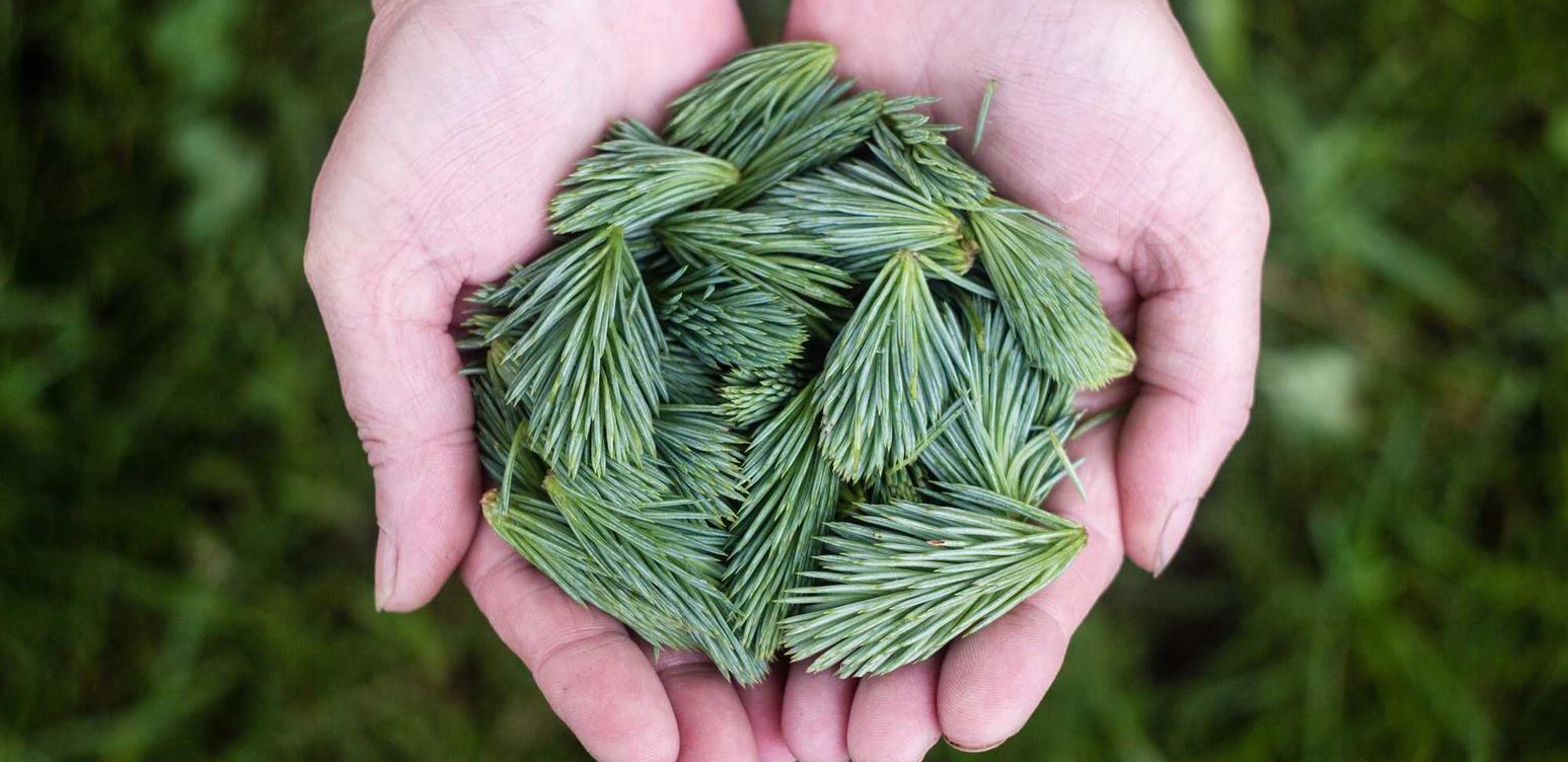 吸香烟与情感健康的关系