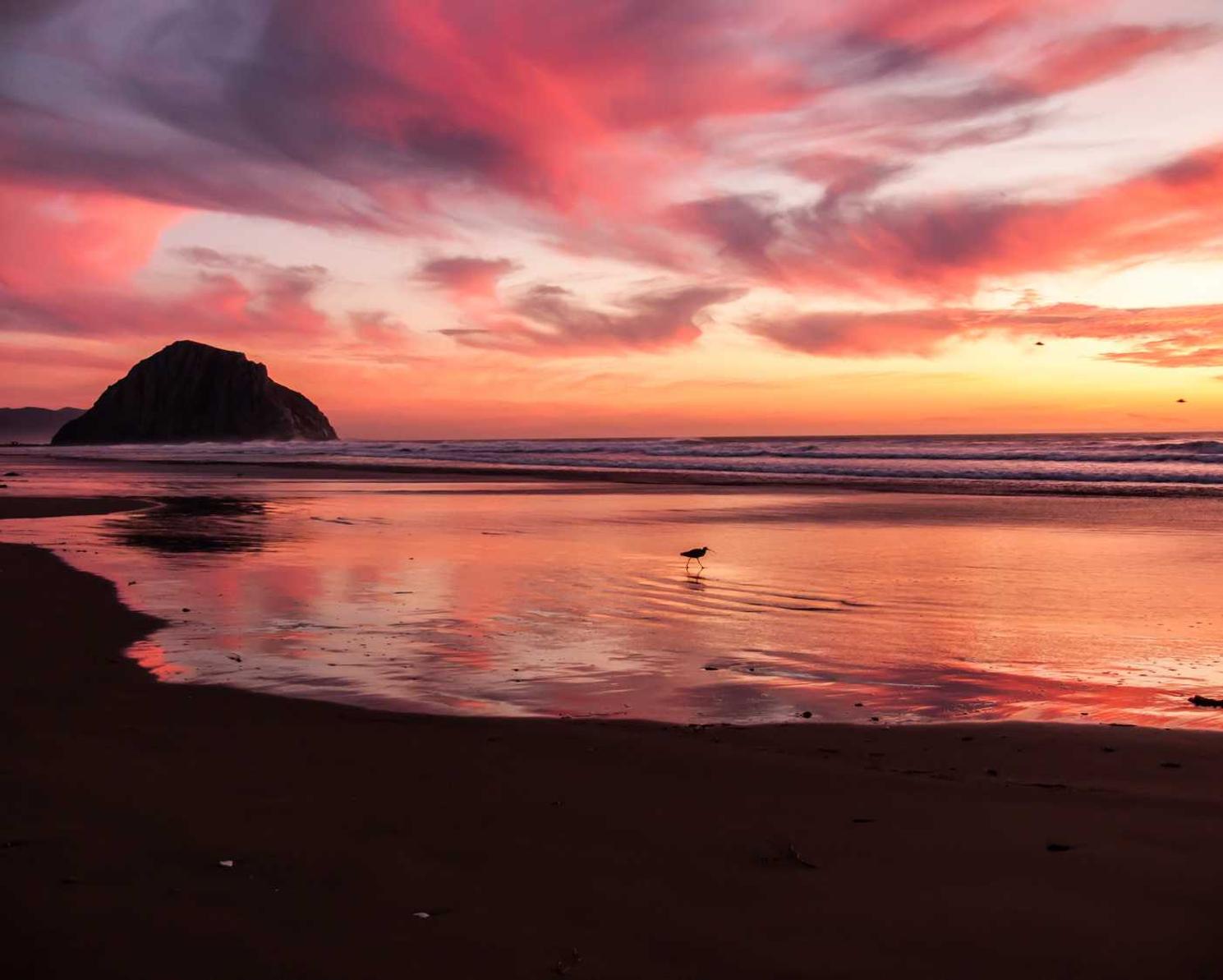 已实名账号:魔盒代理平台