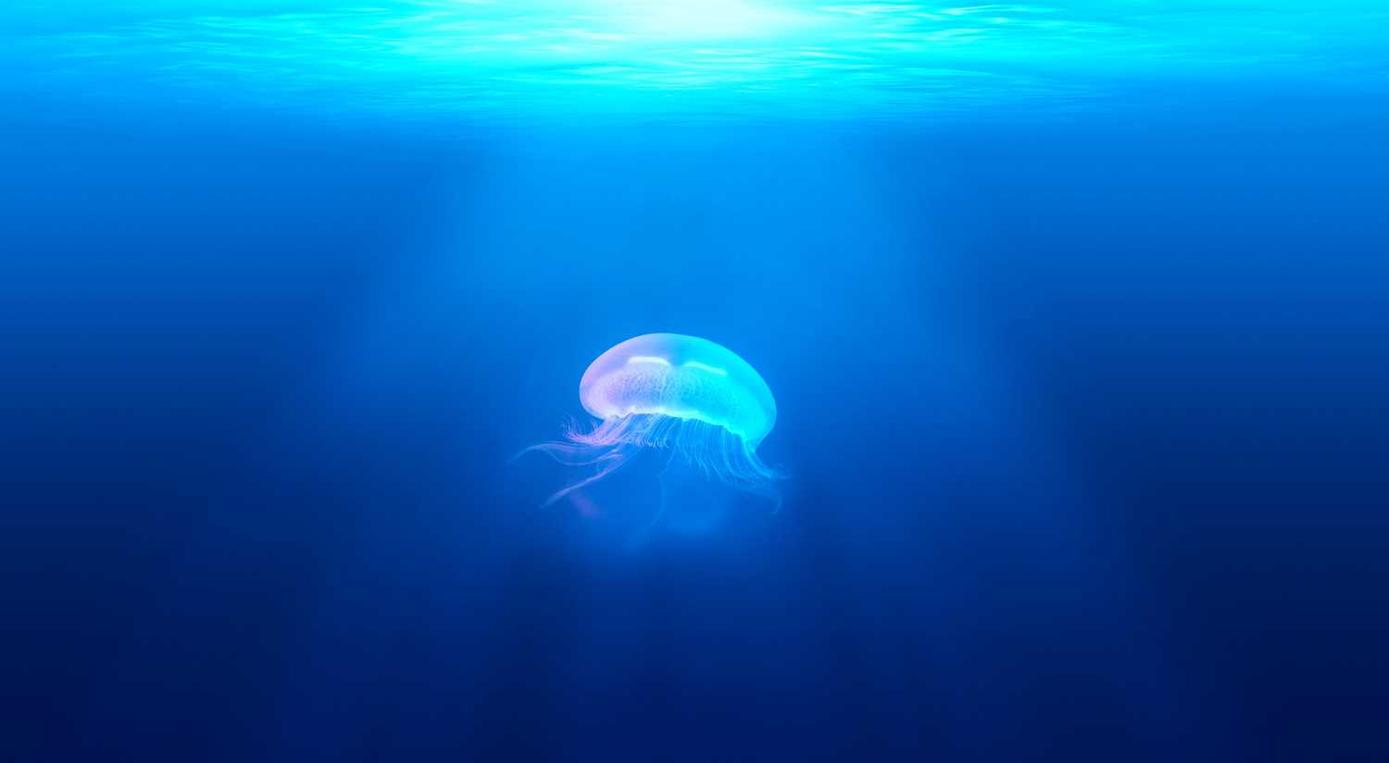 华翔联信实名账号:实名制和人才管理的新兴趋势