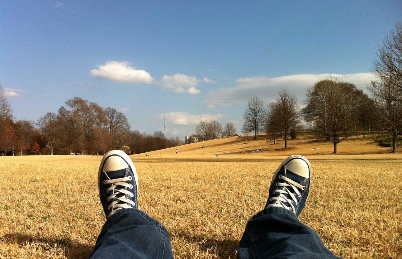 云呼系统实名账号:小窝平台开户