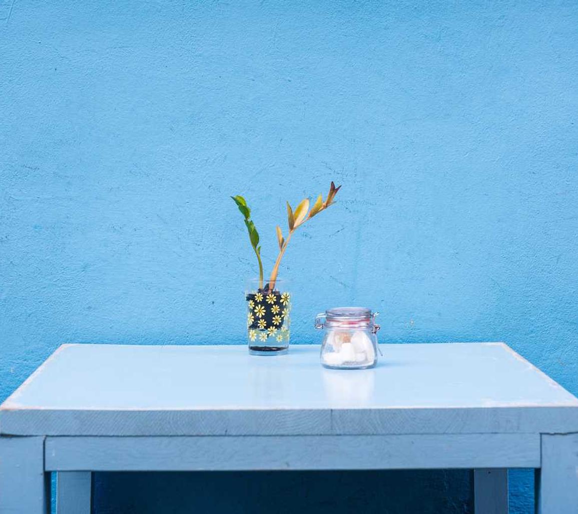 七星柔和7mg:体彩自助购买平台