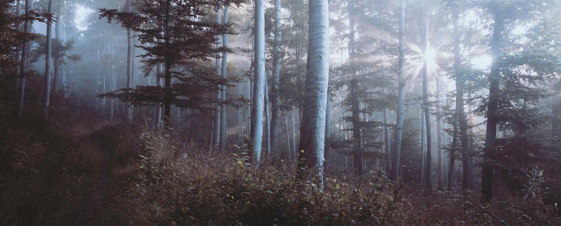 实名制对于政务公开的作用