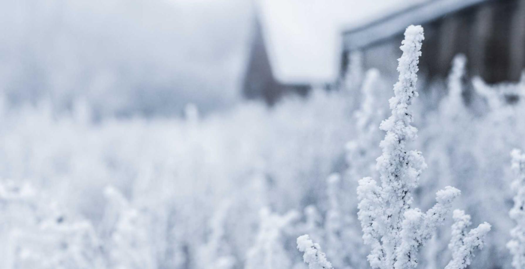 衡天云实名账号:61888彩民之家app详情下载教程安卓