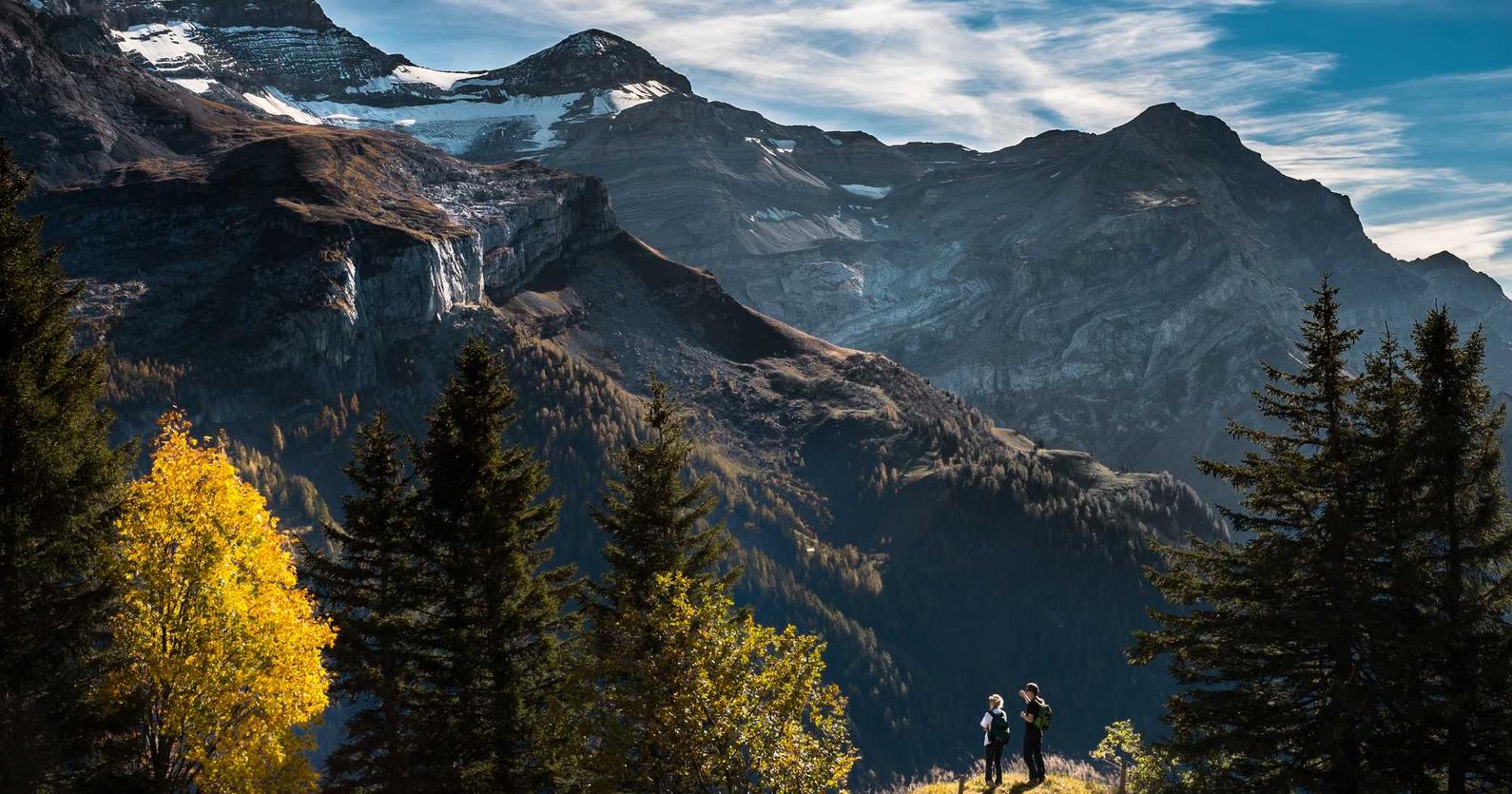 大量出售电话卡:天河注册工商代理