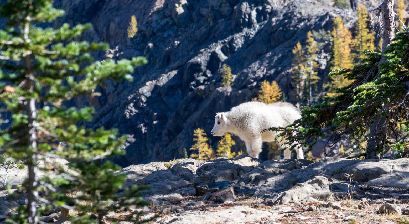 DDOS压力测试|如何充分了解和应对黑客攻击风险