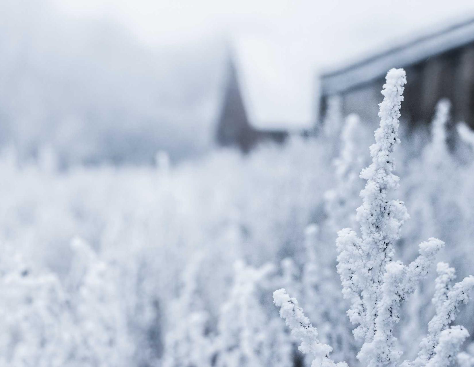 魔兽世界(欧服):微博怎么登陆别的账号注册