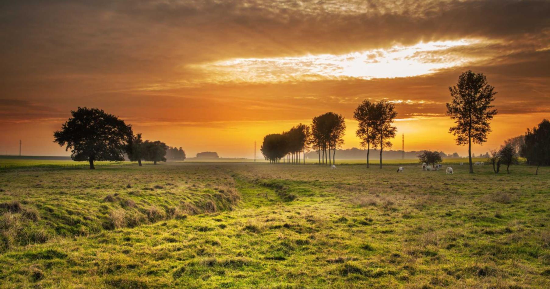 青年一派实名账号：东湖注册代理公司