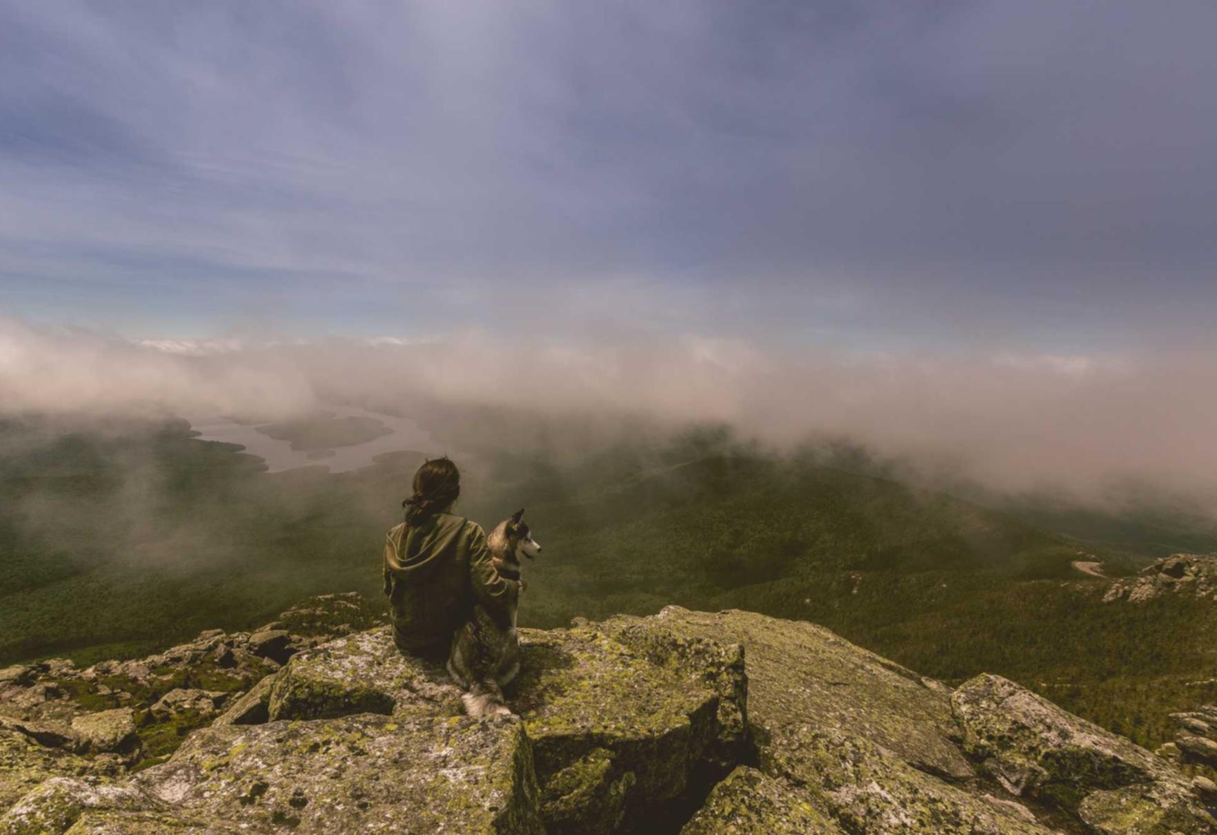 免费DDOS攻击平台|专业注册滴滴代理公司