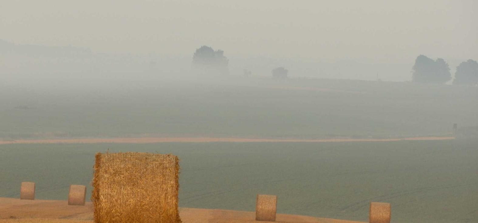 冒险岛：枫之传说：爱剧情APP详情下载教程