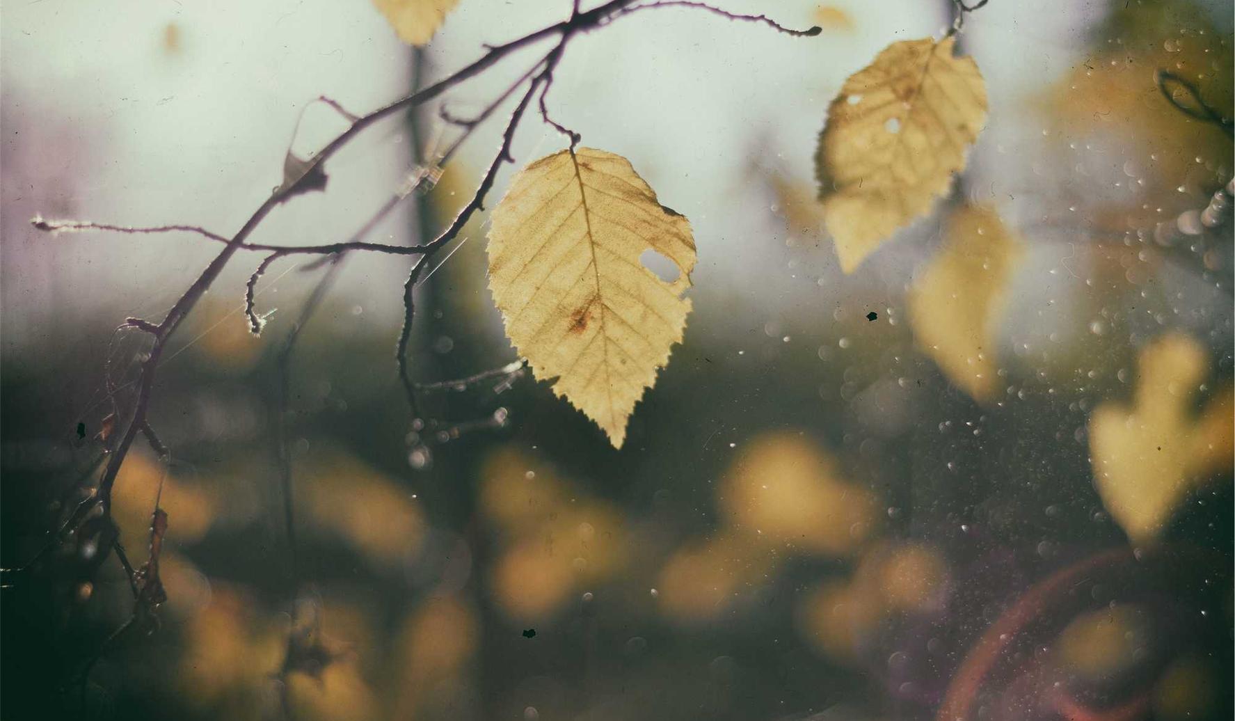 DDOS攻击测试|好的推广加盟代理项目平台