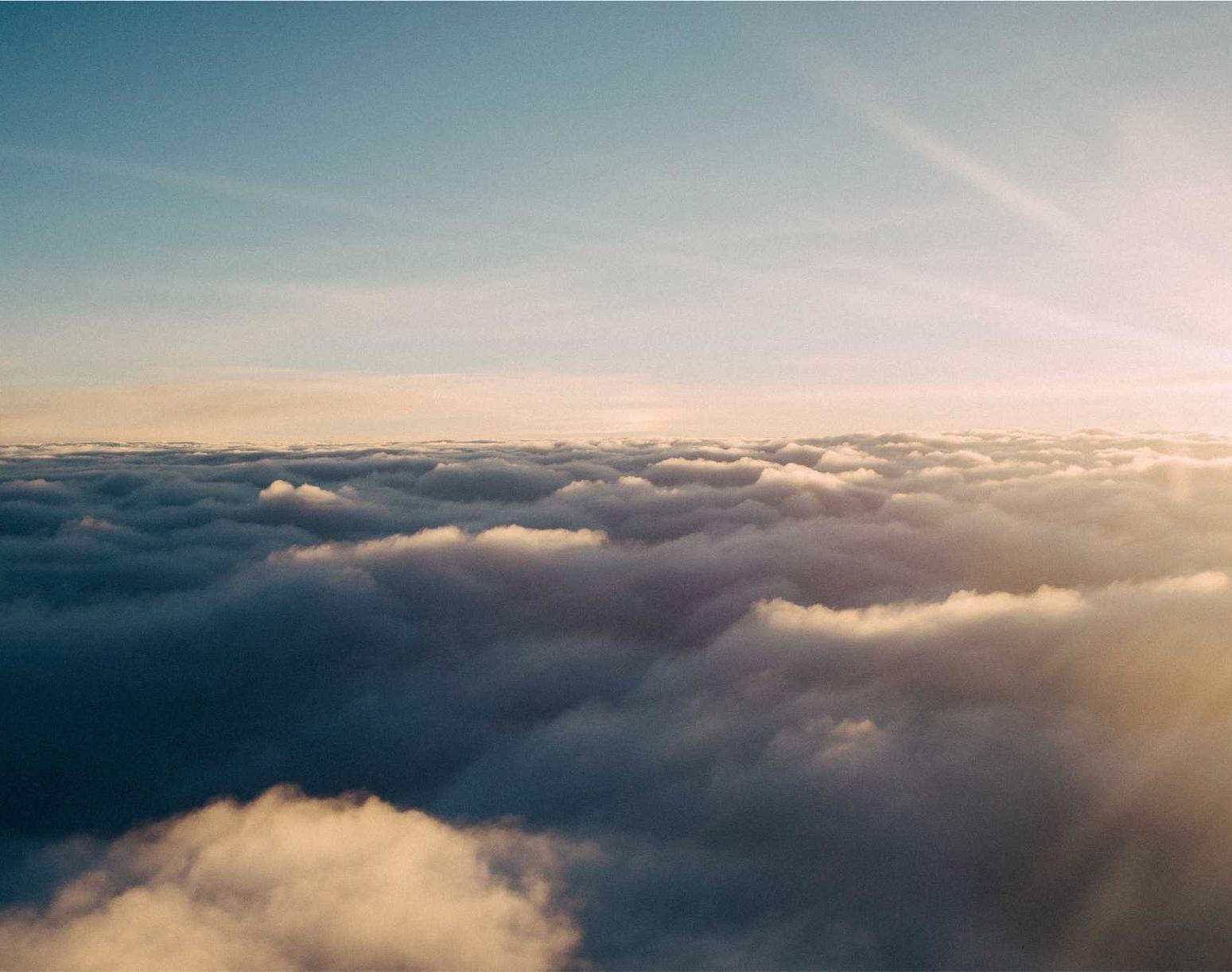 猫之宿约者：头条app免费详情下载教程