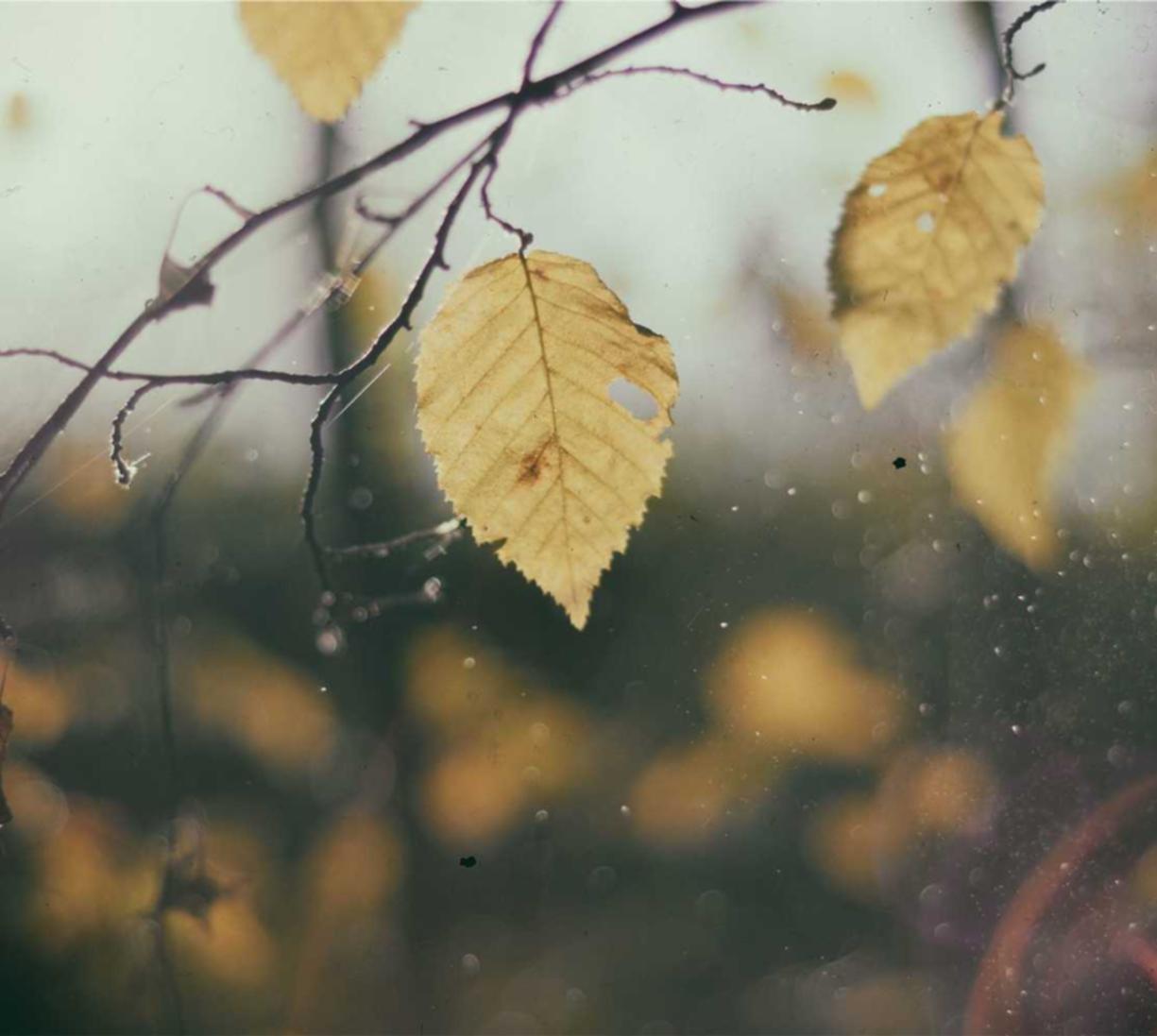 Peel百乐蔓越莓双爆珠：修仙诀代理平台