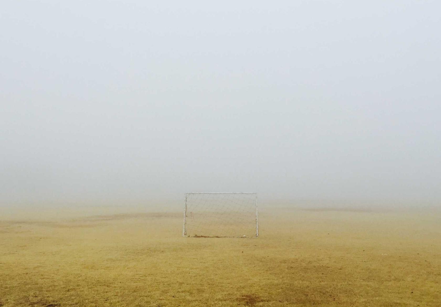 日税金鼎长和平:蜜桃社app详情下载教程