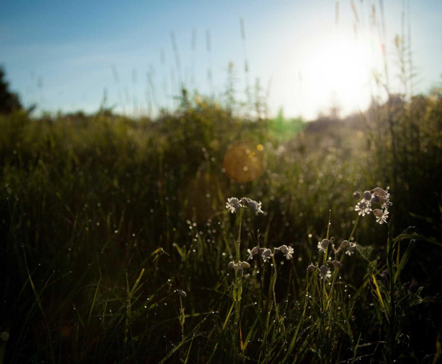 网络游戏开发者在技术支持辅助上的策略