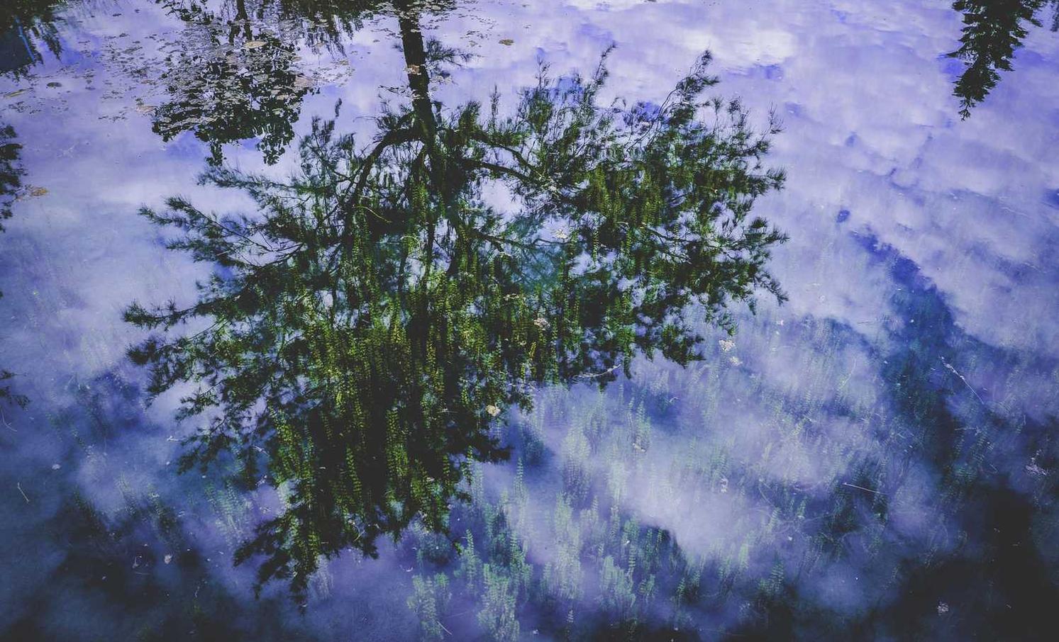 战争怒吼:app详情下载教程地推推广话术