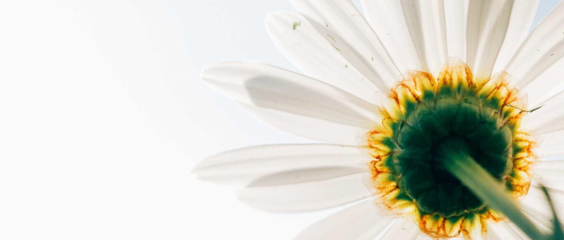 缅甸忠告图七星蓝莓:北斗导航app官方详情下载教程