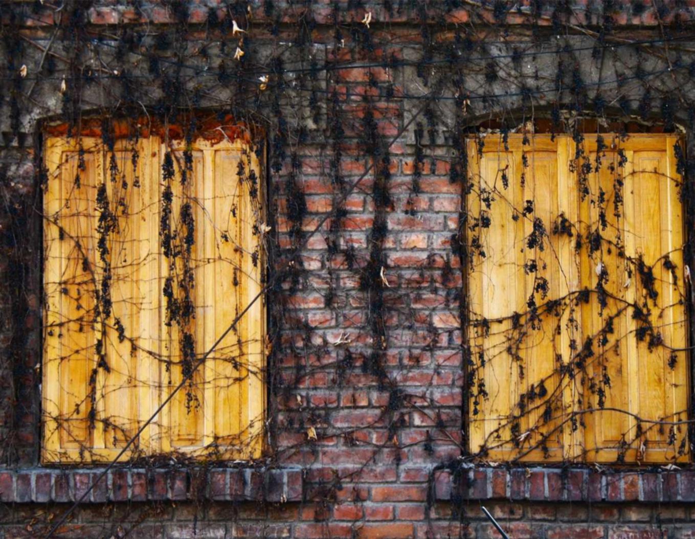 深度ip实名账号：如何提高实名制账号管理的效率？ 