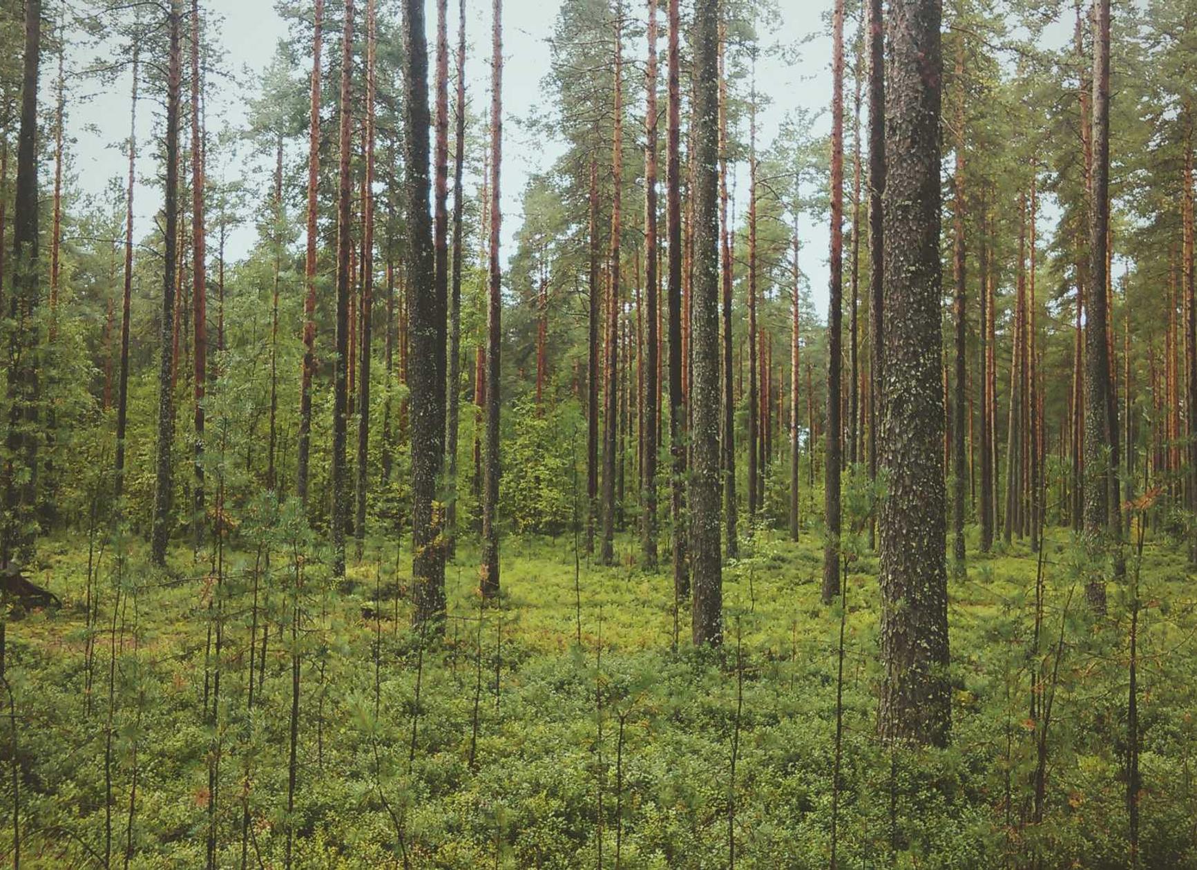 互联网时代,短信营销仍有存在的价值吗?