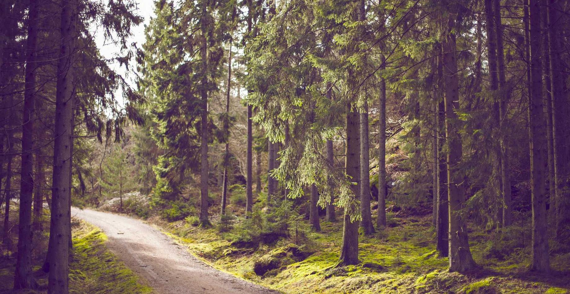 广电手机卡- 香哈app详情下载教程安装