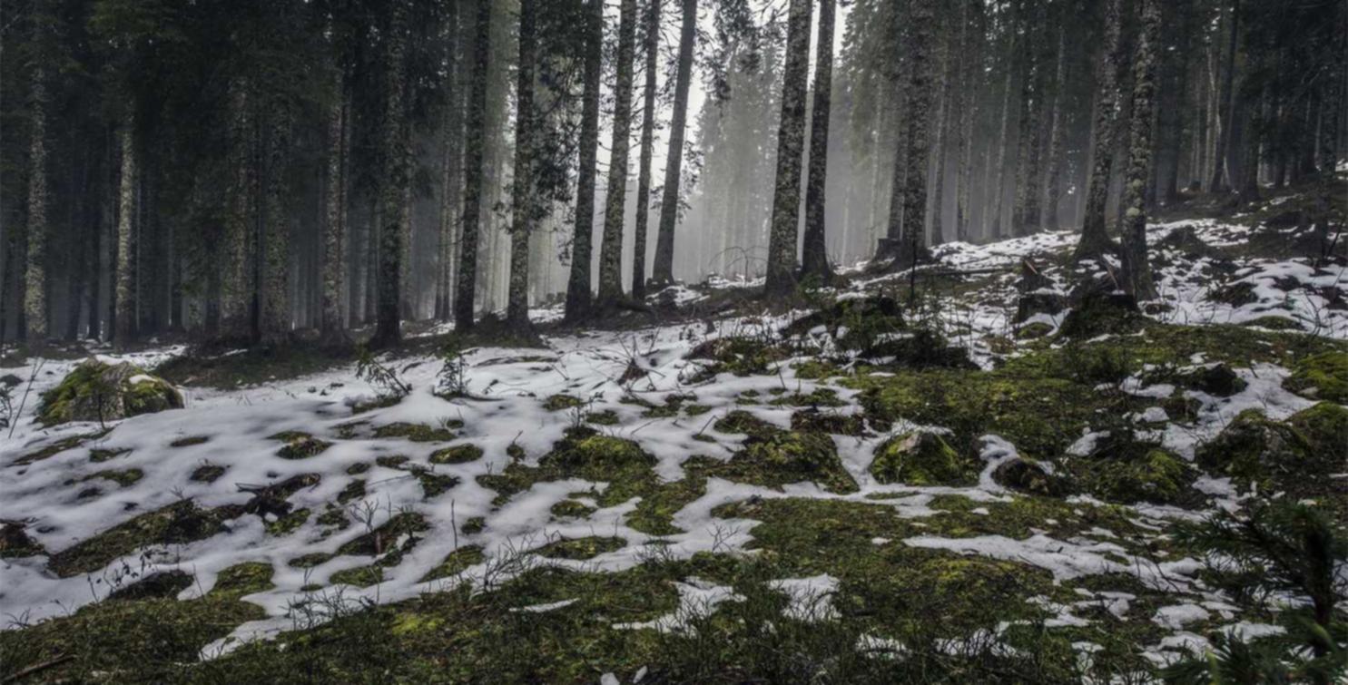 微信小号买卖:豆藤app官方详情下载教程