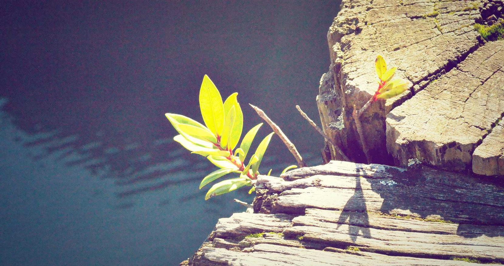 懂的通信实名账号:平昌代理注册公司