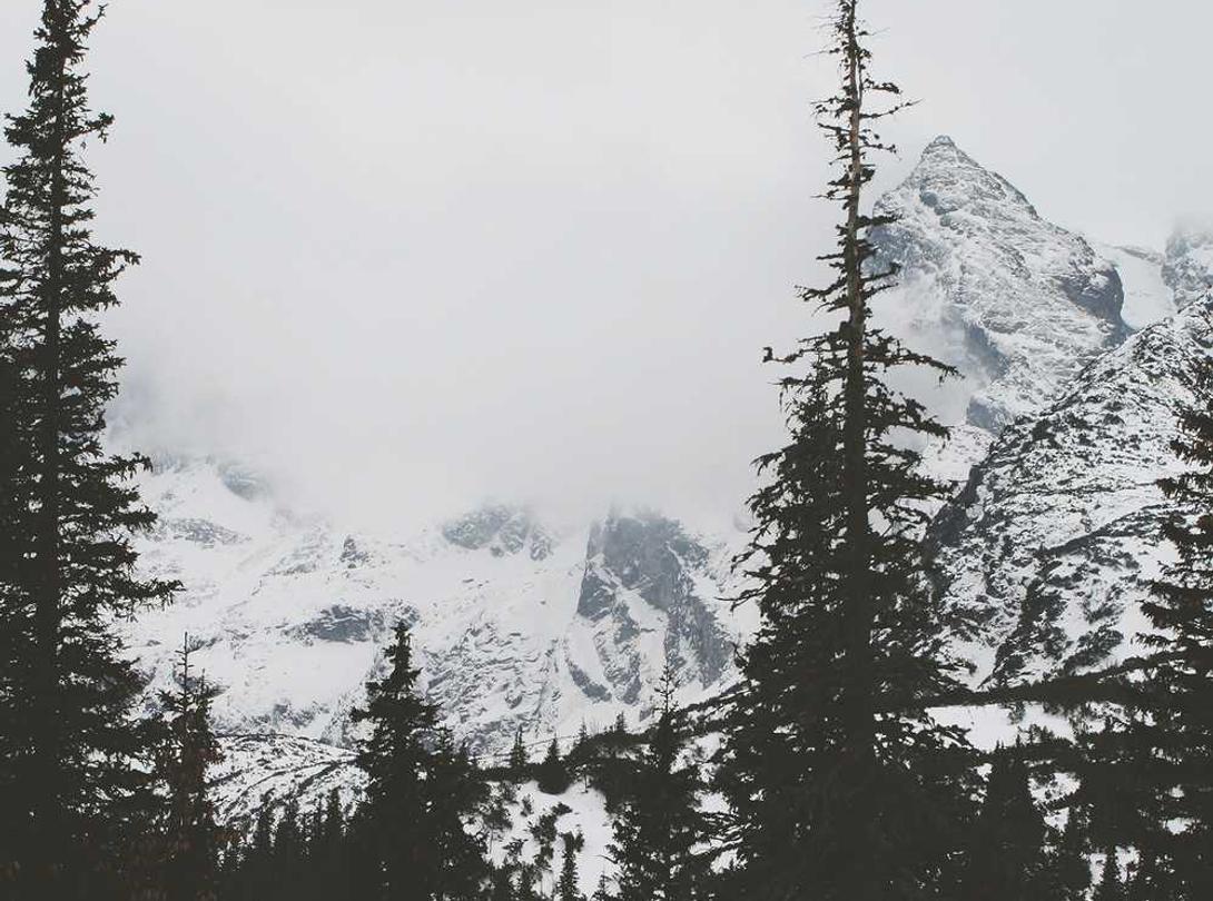 这种类型的技术支持是最危险的类型。