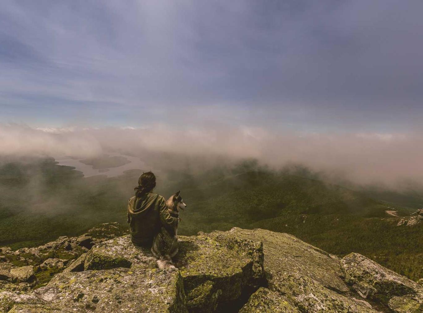 烟草种植的历史和现状